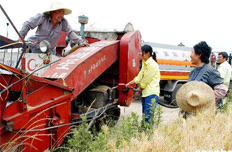 中石油采取措施保障“三夏”農用柴油供應