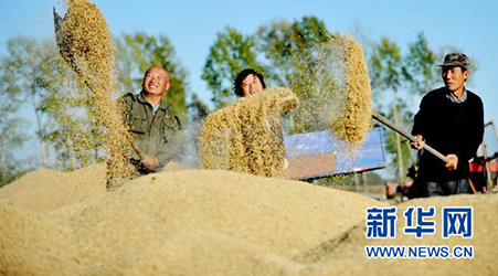 示范縣創建活動簡介