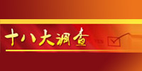 十八大調(diào)查