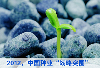 2012:中國種業(yè)“戰(zhàn)略突圍”