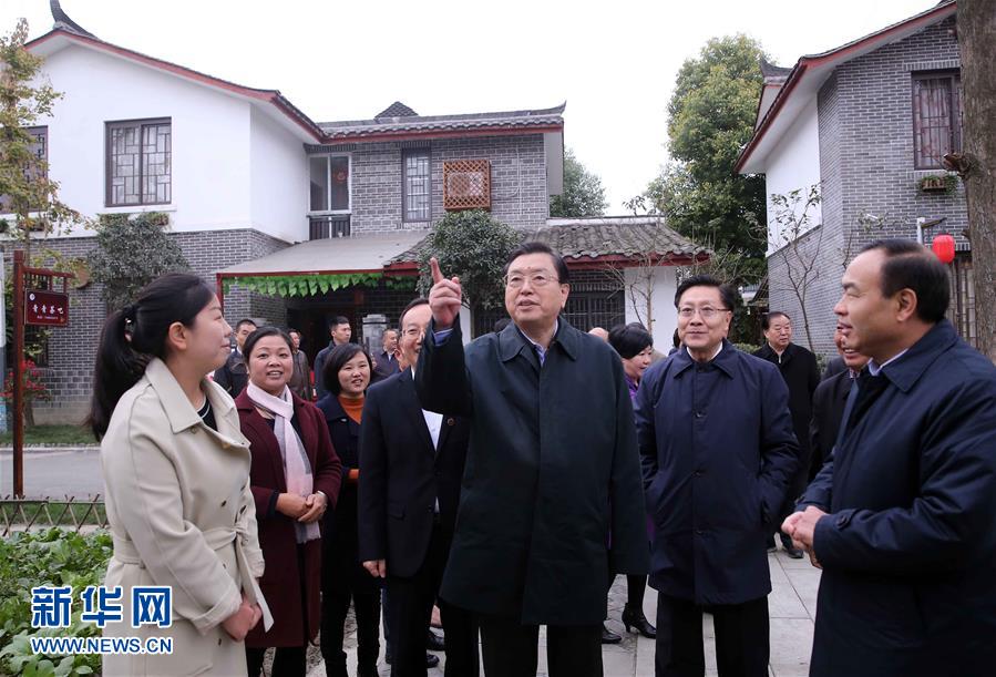這是11月22日，張德江來(lái)到成都郫縣青杠樹村，了解村民委員會(huì)工作情況。 新華社記者 劉衛(wèi)兵 攝 