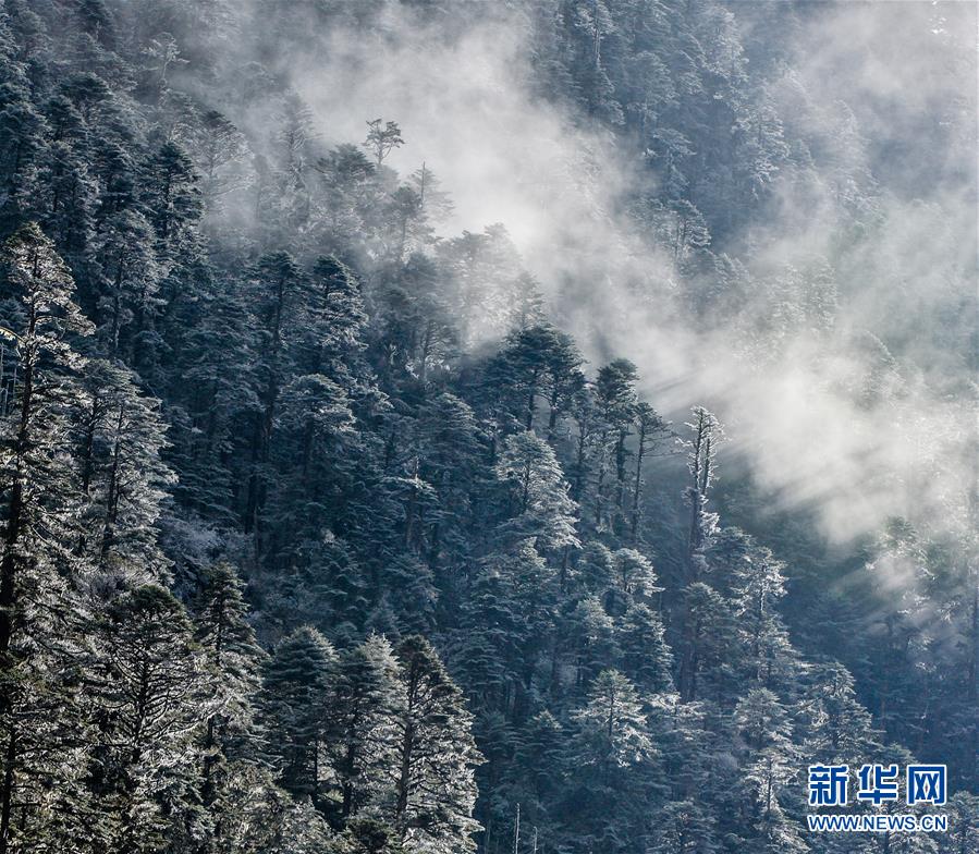 (環(huán)境)(8)白皮書:青藏高原地區(qū)仍然是地球上最潔凈的地區(qū)之一