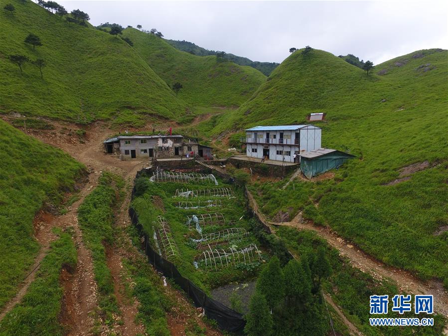 （新華全媒頭條·圖文互動）（3）一個人，一座山——劉真茂的生命守望