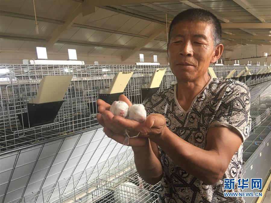 (新華全媒頭條·在習(xí)近平新時(shí)代中國特色社會主義思想指引下——新時(shí)代新作為新篇章·圖文互動)(10)綠富同興畫卷在沙海中鋪展——庫布其沙漠生態(tài)治理紀(jì)實(shí)