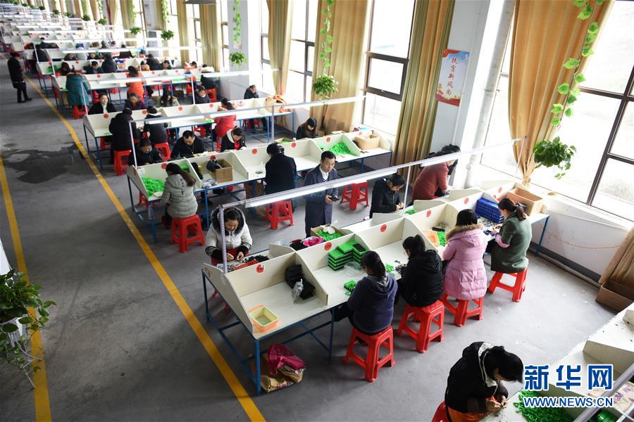 （在習近平新時代中國特色社會主義思想指引下——新時代新作為新篇章·圖文互動）（5）“搬遷到哪里，服務就延伸到哪里”——貴州推進易地扶貧搬遷“后半篇文章” 