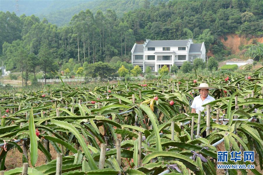 （在習(xí)近平新時(shí)代中國(guó)特色社會(huì)主義思想指引下——新時(shí)代新作為新篇章·總書(shū)記關(guān)心的百姓身邊事·圖文互動(dòng)）（6）大污染變身“大寶藏”：治理畜禽糞污，他們這樣干！