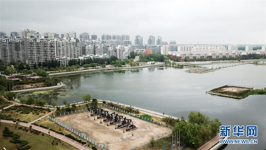 (圖文互動)(15)當好標桿旗幟 建設百年油田——寫在大慶油田發現60周年之際