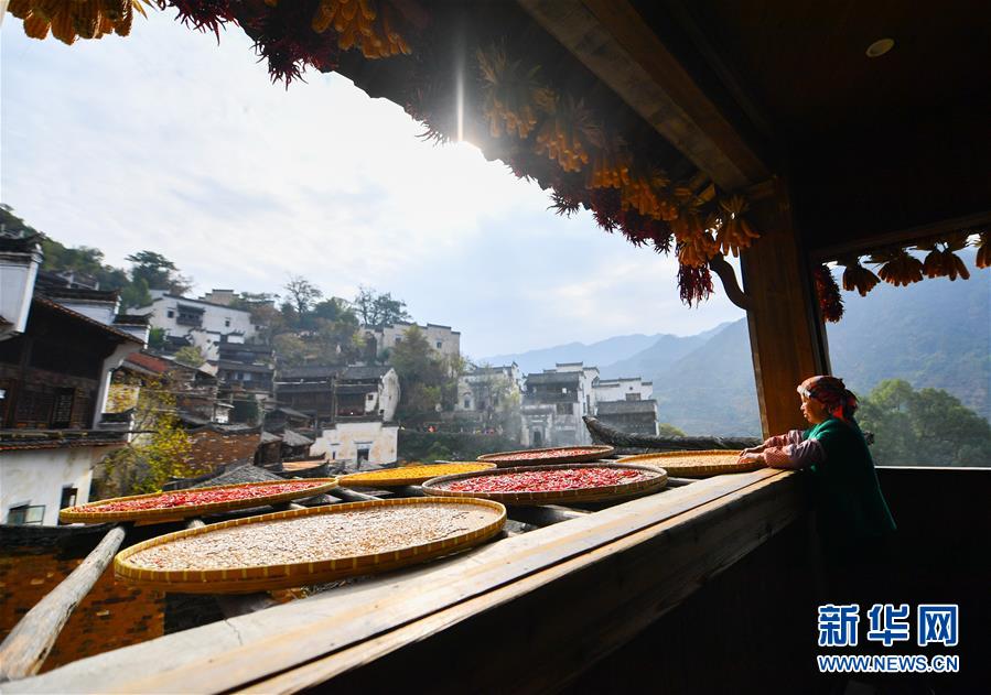 （圖文互動）（5）鄉村攝影師、鄉村“模特”、民宿店主——鄉村旅游推動婺源農民生活方式發生新變化