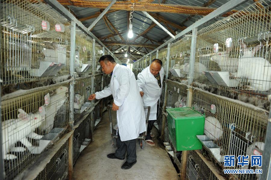 （新華全媒頭條·圖文互動）（4）干部去哪兒了？——貴州干部大規(guī)模下沉脫貧攻堅(jiān)一線紀(jì)實(shí)