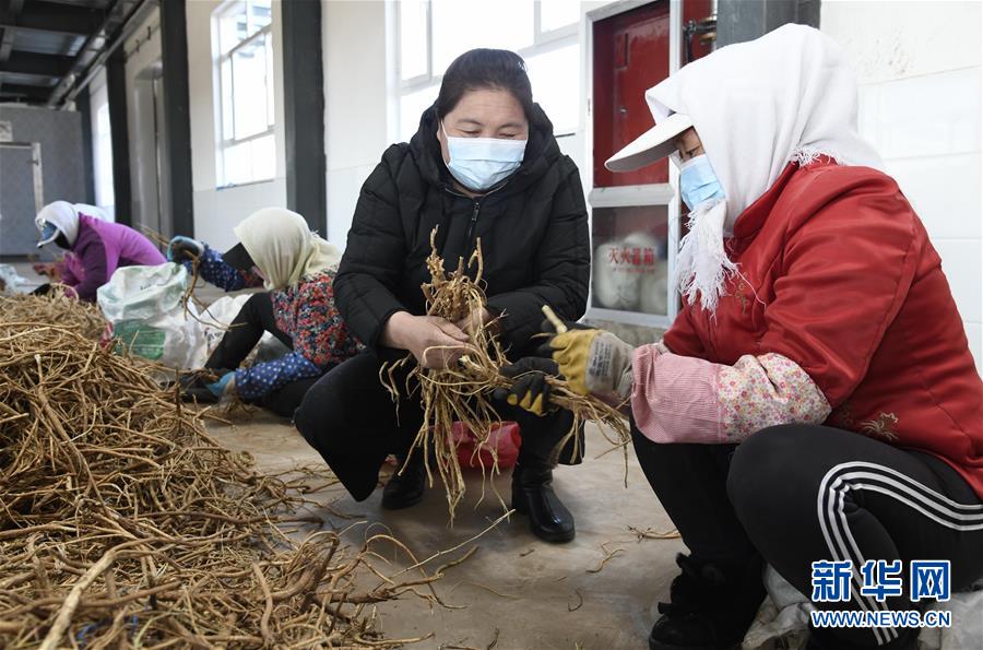 （新華全媒頭條·圖文互動）（2）特殊時期，他們這樣履職——全國人大代表這個春天在行動