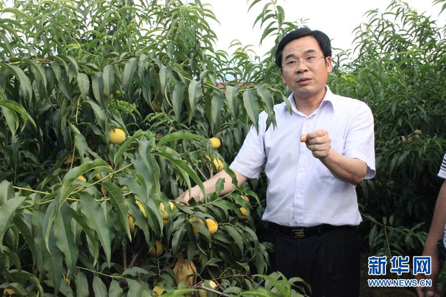 （圖文互動）（2）“為脫貧而來，為脫貧而去”——追記湖南炎陵縣委原書記黃詩燕 