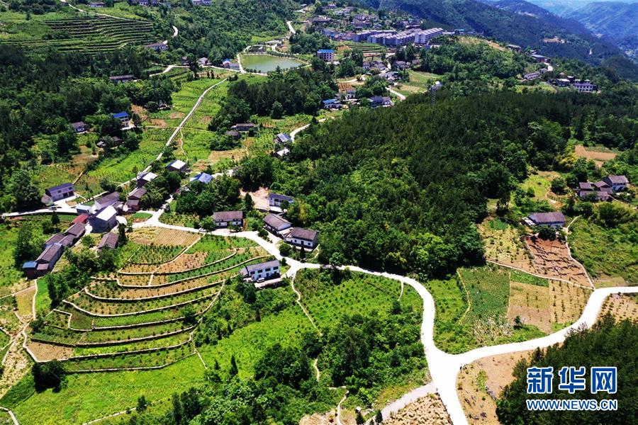 （新華全媒頭條·圖文互動(dòng)）（11）待到滿(mǎn)山紅葉時(shí)——三峽重慶庫(kù)區(qū)踐行新發(fā)展理念面面觀