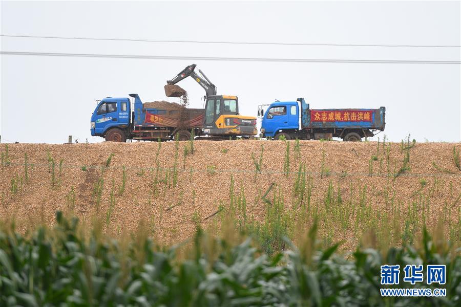 （防汛抗洪·圖文互動）（4）“險情不可怕，可怕的是不能及時發現險情”——洞庭湖巡堤查險現場直擊
