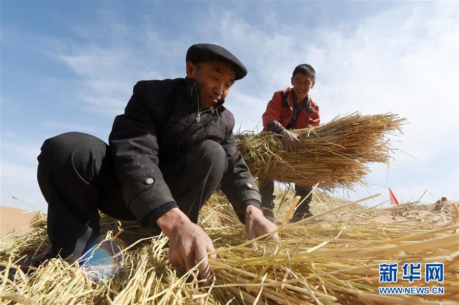 （在習(xí)近平新時代中國特色社會主義思想指引下——新時代新作為新篇章·習(xí)近平總書記關(guān)切事·圖文互動）（5）綠色映底蘊，山水見初心——生態(tài)優(yōu)先、綠色發(fā)展持續(xù)造福群眾美好生活