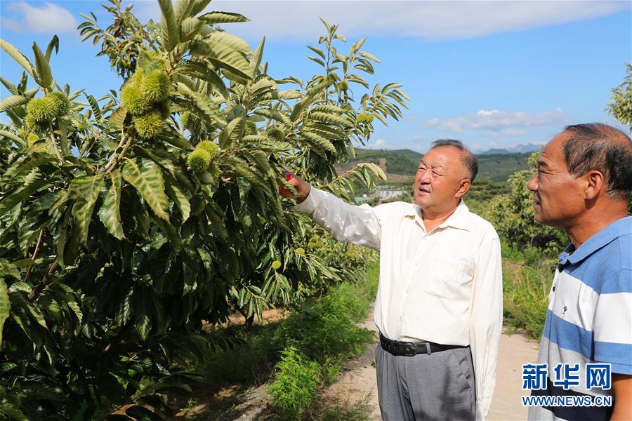 （新華全媒頭條·走向我們的小康生活·圖文互動）（11）長城腳下，小康村串成“珍珠鏈”