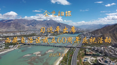 習近平出席西藏自治區成立60周年慶祝活動