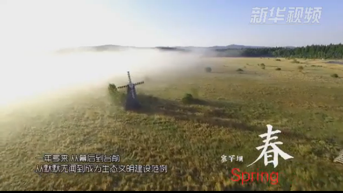 塞罕壩：那一抹綠色，走進越來越多人心里