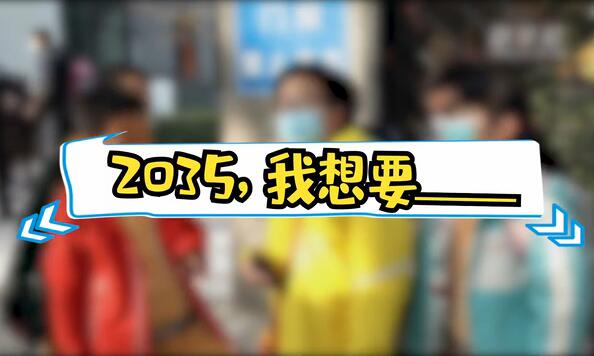 2035，我想要____