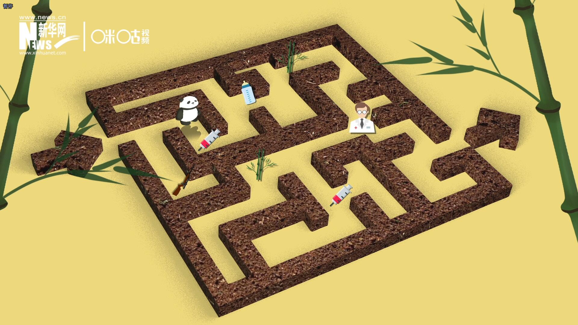 2016年，國際自然保護(hù)聯(lián)盟將大熊貓的物種瀕危等級(jí)，從“瀕危”下降到了“易危”。