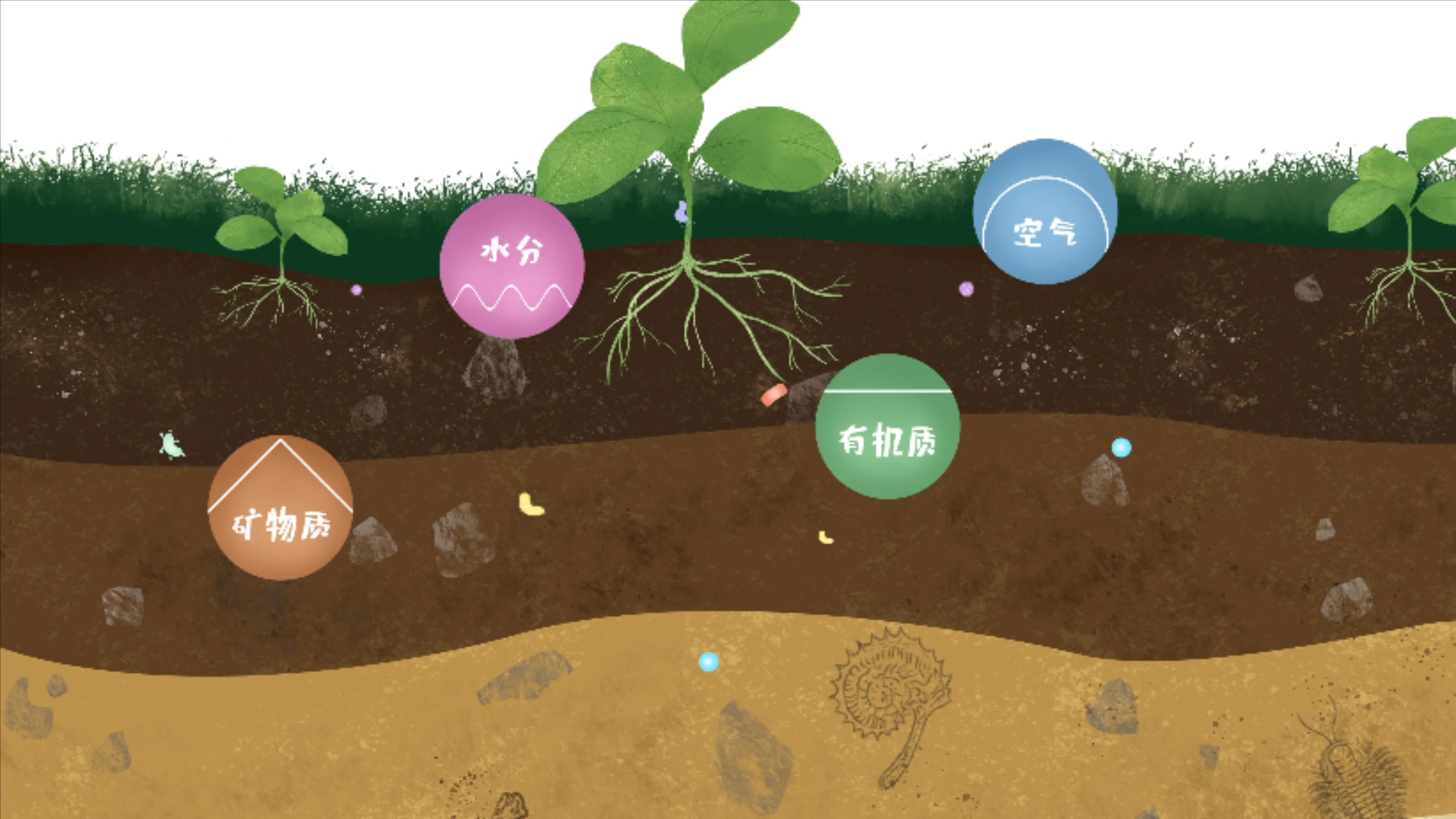 土壤由礦物質、有機質、水分、空氣及包括微生物在內的生物體等組成
