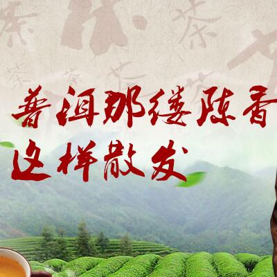普洱那縷陳香，這樣散發
