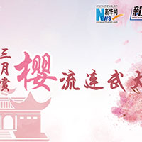 三月賞櫻，流連武大