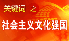 胡錦濤提出，扎實推進社會主義文化強國建設