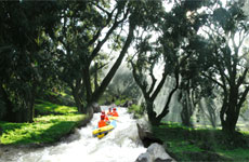 諸暨千年香榧林探險漂流