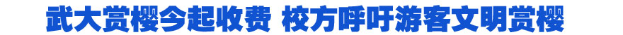 武大賞櫻今起收費 校方呼吁游客文明賞櫻