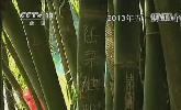 “五一”去哪？：快樂出行 文明旅游