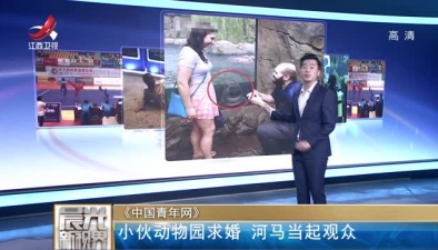 小伙動(dòng)物園求婚 河馬當(dāng)起觀眾