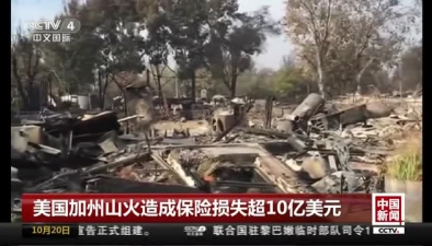 美國(guó)加州山火造成保險(xiǎn)損失超10億美元